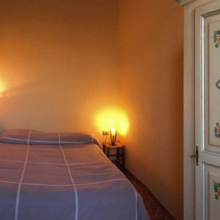 Agriturismo Terre Di Musignano Canino Екстериор снимка
