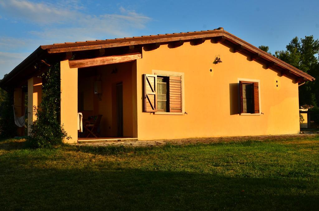 Agriturismo Terre Di Musignano Canino Стая снимка