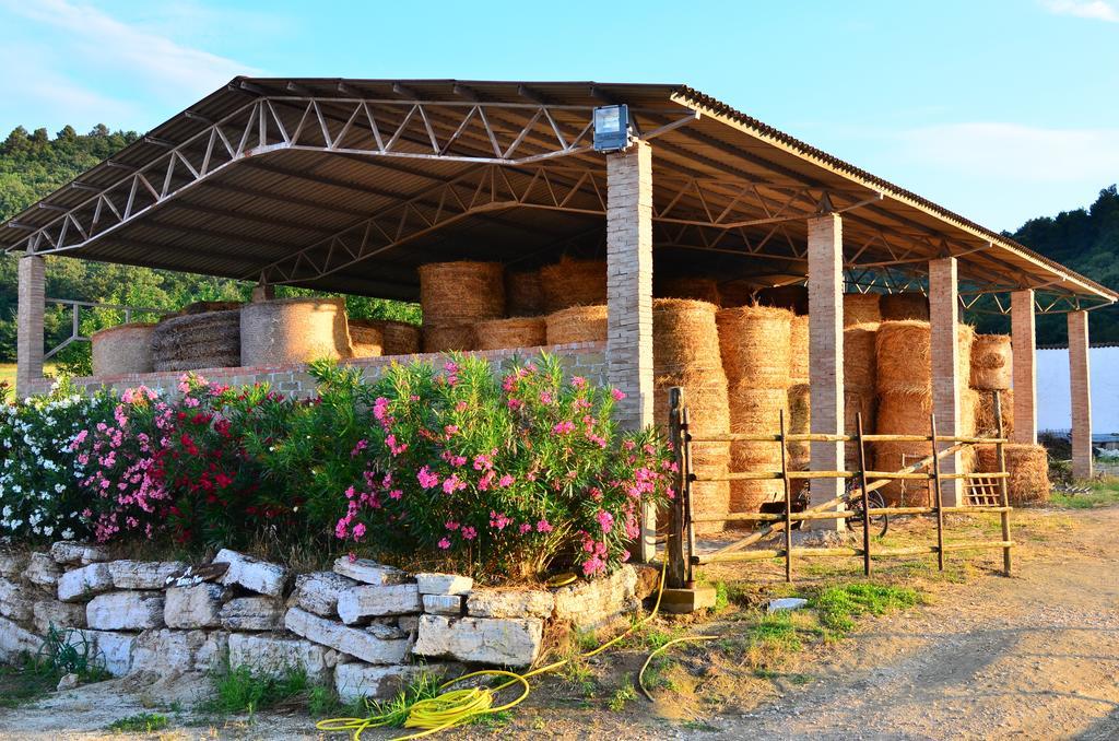 Agriturismo Terre Di Musignano Canino Стая снимка