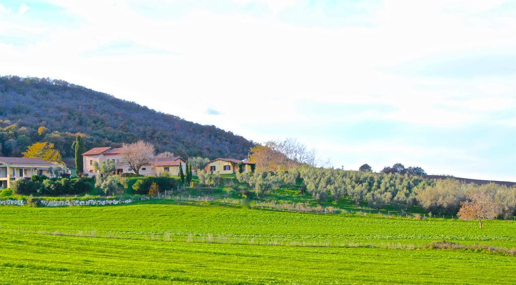Agriturismo Terre Di Musignano Canino Екстериор снимка