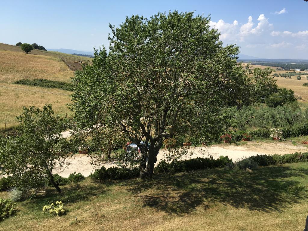 Agriturismo Terre Di Musignano Canino Екстериор снимка