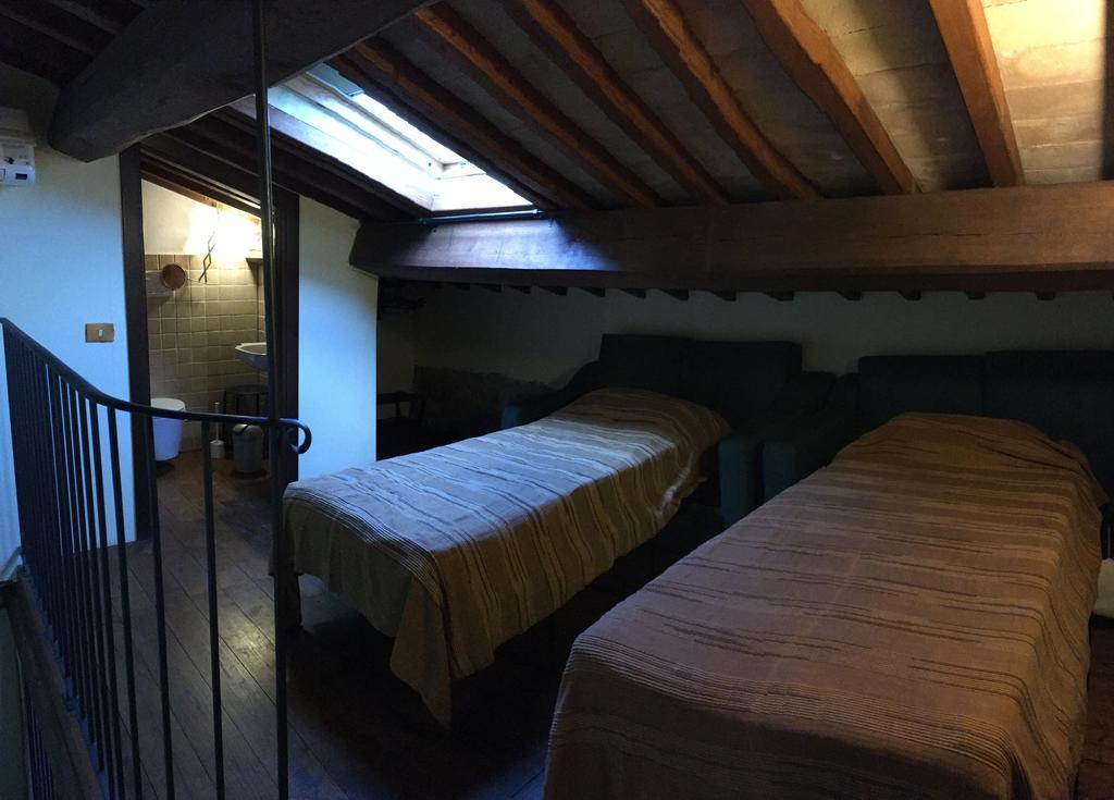 Agriturismo Terre Di Musignano Canino Екстериор снимка